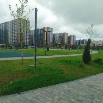 Сдается 1-комнатная квартира, 41 м²