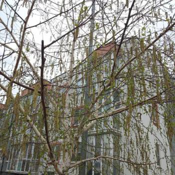 Продается 1-комнатная квартира, 36,1 м²