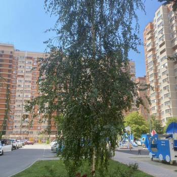 Продается 1-комнатная квартира, 26,4 м²