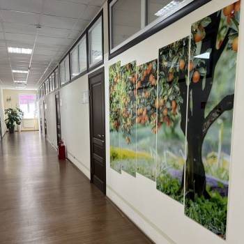 Сдается Офис, 60 м²