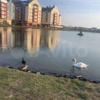 Сдается Многокомнатная квартира, 56 м²