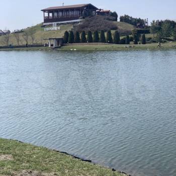 Сдается Многокомнатная квартира, 56 м²