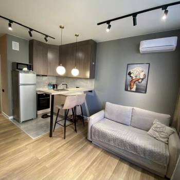 Сдается 1-комнатная квартира, 20,2 м²
