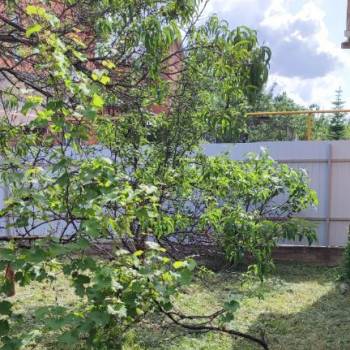 Продается Дом, 44,4 м²