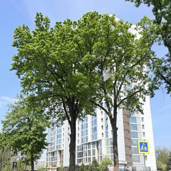 Продается 1-комнатная квартира, 43 м²