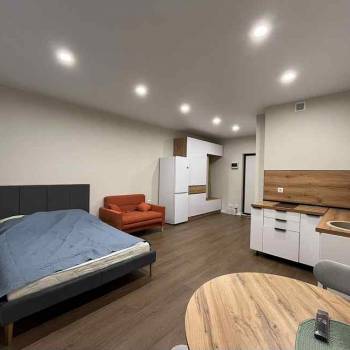 Сдается 1-комнатная квартира, 27,6 м²
