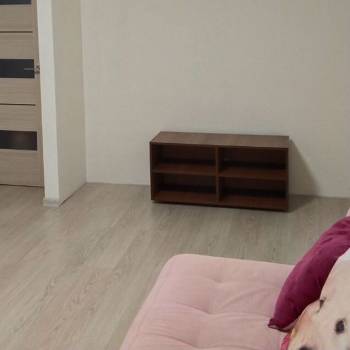 Сдается 2-х комнатная квартира, 69 м²