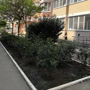 Сдается 2-х комнатная квартира, 65,2 м²