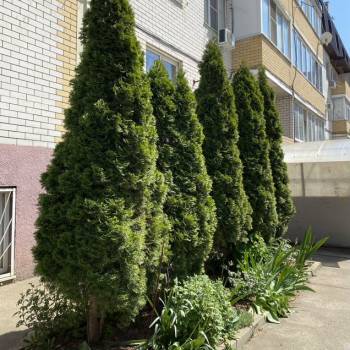 Продается 1-комнатная квартира, 36 м²