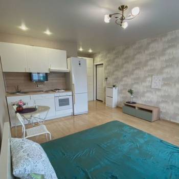 Сдается 1-комнатная квартира, 25,5 м²