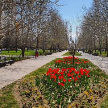 Сдается 1-комнатная квартира, 44 м²
