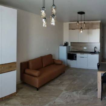 Сдается 1-комнатная квартира, 29,3 м²