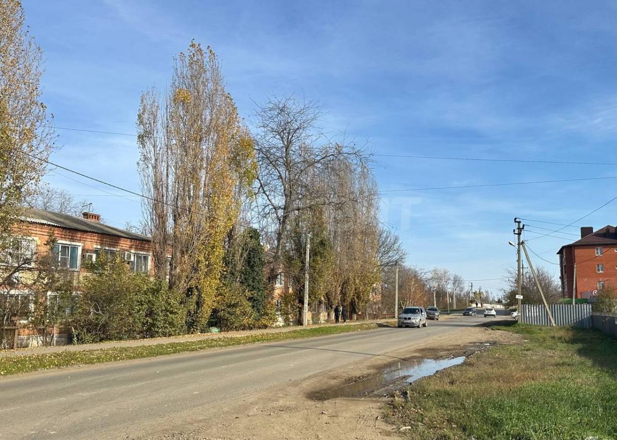 Фотография №12