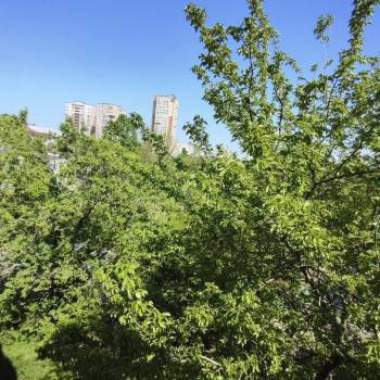 Продается 2-х комнатная квартира, 47,5 м²