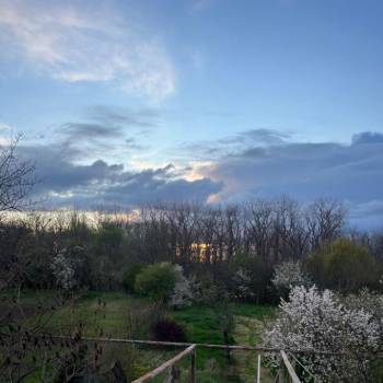 Сдается Комната, 24 м²