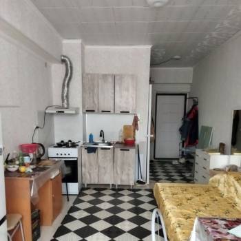 Продается 1-комнатная квартира, 24,7 м²