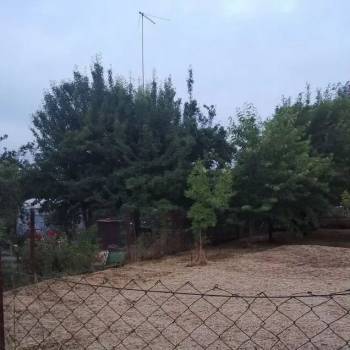 Продается Участок, 800 м²