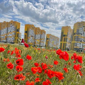 Сдается 1-комнатная квартира, 27 м²