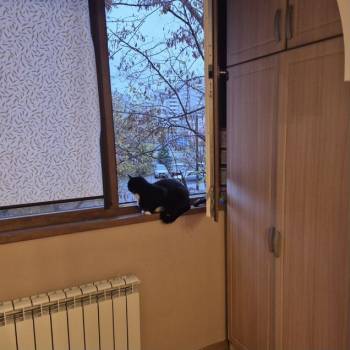Продается 1-комнатная квартира, 39,7 м²