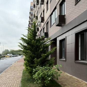 Продается Нежилое помещение, 120,5 м²