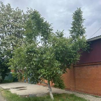 Продается Дом, 92 м²