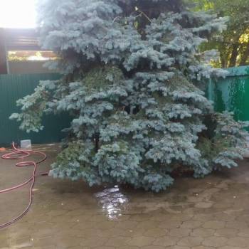 Сдается Дом, 39 м²