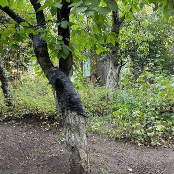 Продается Участок, 410 м²
