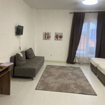 Сдается 1-комнатная квартира, 29 м²