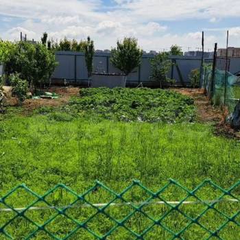 Продается Участок, 800 м²