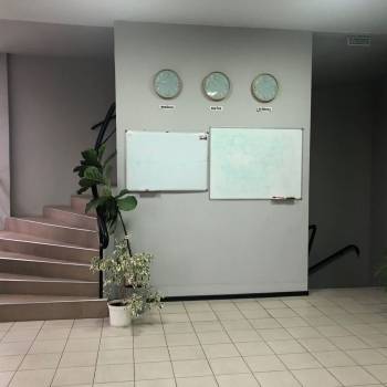 Сдается Нежилое помещение, 176 м²