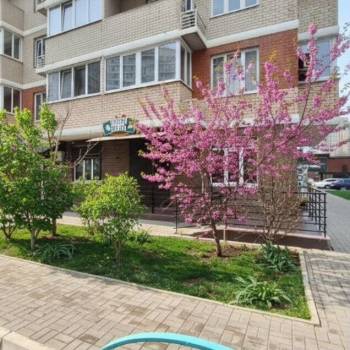 Продается Нежилое помещение, 42,7 м²
