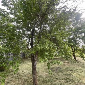 Продается Участок, 400 м²