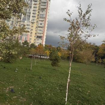 Продается 1-комнатная квартира, 52 м²