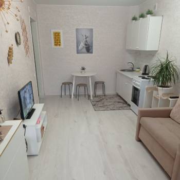 Продается 1-комнатная квартира, 22,7 м²