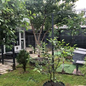 Продается Дом, 55 м²