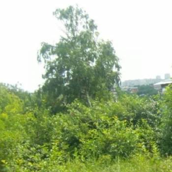 Продается Участок, 500 м²