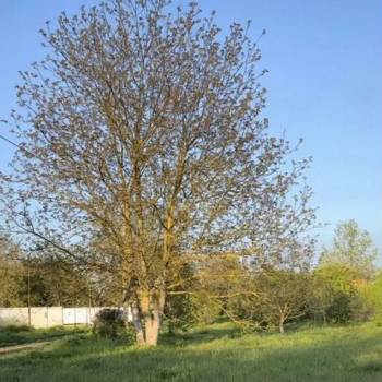 Продается Участок, 1600 м²