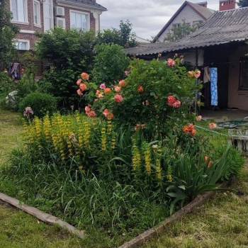 Продается Дом, 57 м²