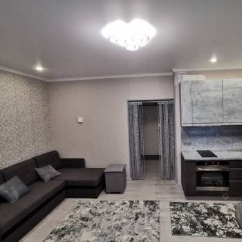 Сдается 1-комнатная квартира, 30,7 м²
