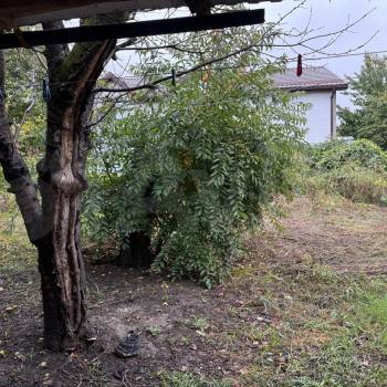 Сдается Дом, 65 м²