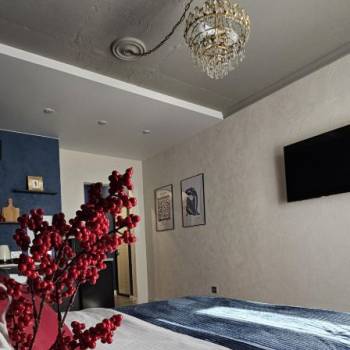 Сдается 1-комнатная квартира, 22,6 м²