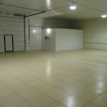 Сдается Нежилое помещение, 380 м²