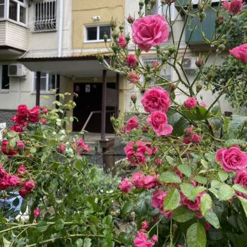 Сдается Комната, 10 м²