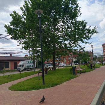 Сдается 1-комнатная квартира, 40 м²