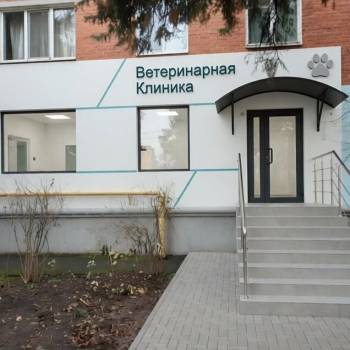 Сдается Нежилое помещение, 50,8 м²