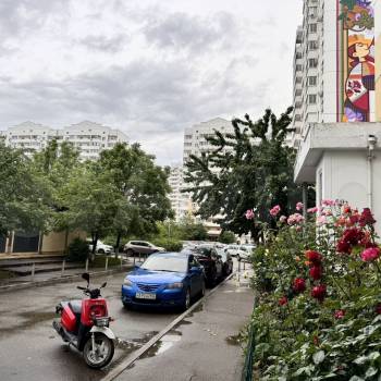 Продается Офис, 12 м²