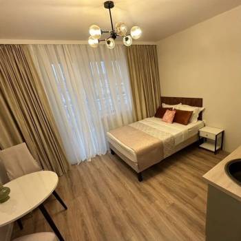 Сдается 1-комнатная квартира, 23,8 м²