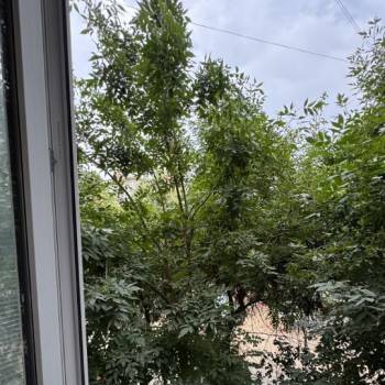 Сдается 2-х комнатная квартира, 47 м²