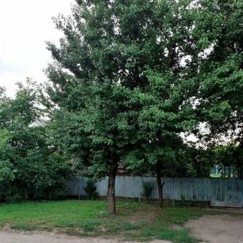 Продается Участок, 1100 м²
