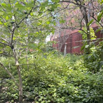 Продается Участок, 460 м²